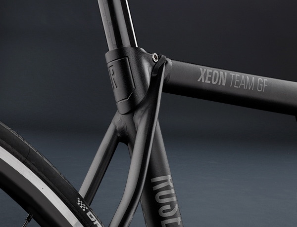 Clean look thanks to an integrated saddle clamp, filigree seat stays and no brake boss Clean look thanks to an integrated saddle clamp, filigree seat stays and no brake boss